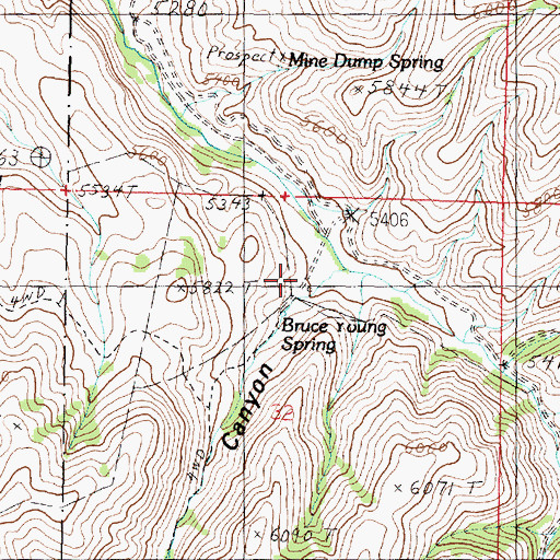 Topographic Map of Pole Canyon, ID