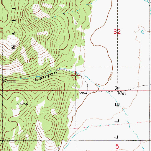 Topographic Map of Pole Canyon, ID