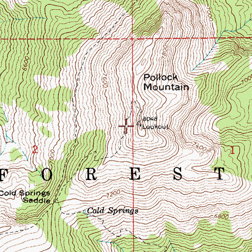 Topographic Map of Pollock Mountain, ID