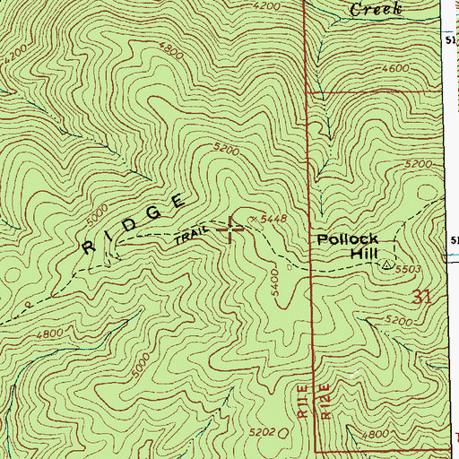 Topographic Map of Pollock Ridge, ID