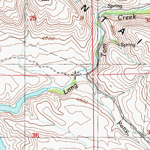 Topographic Map of Pony Creek, ID