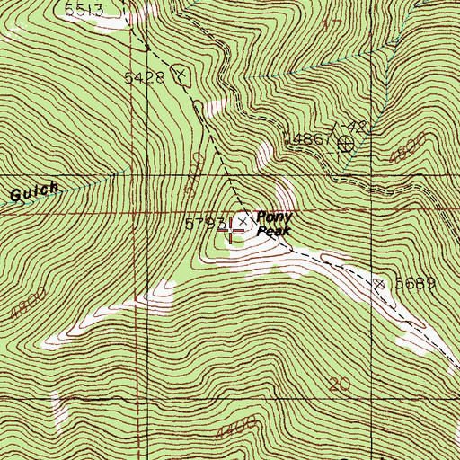 Topographic Map of Pony Peak, ID