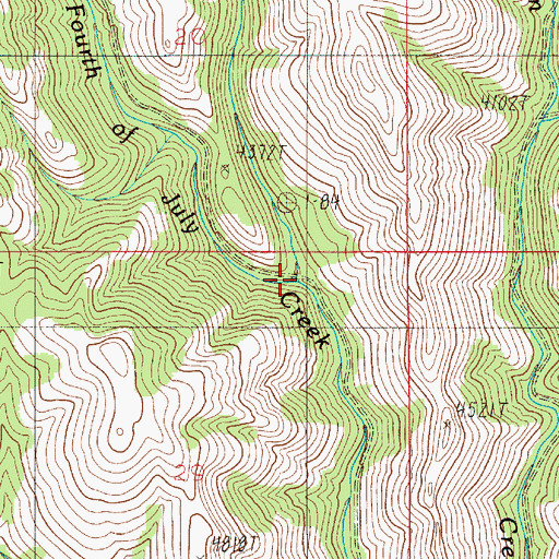 Topographic Map of Porcupine Creek, ID