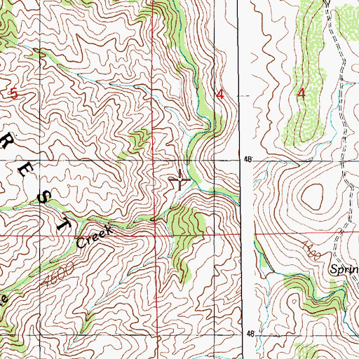 Topographic Map of Porcupine Creek, ID
