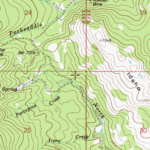 Topographic Map of Porcupine Creek, ID