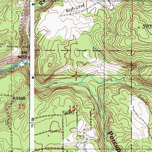 Topographic Map of Porcupine Creek, ID