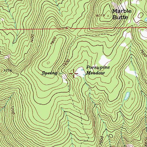 Topographic Map of Porcupine Meadow, ID