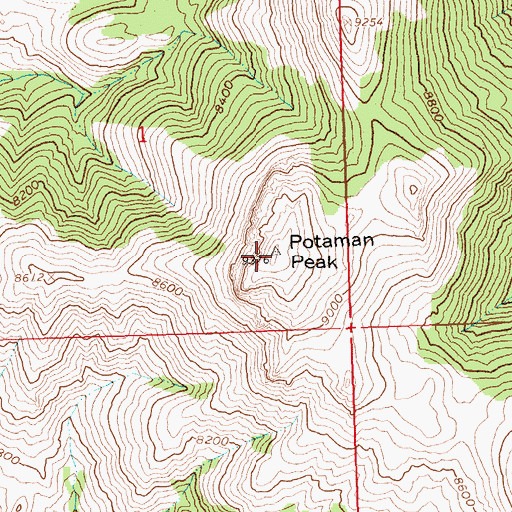 Topographic Map of Potaman Peak, ID