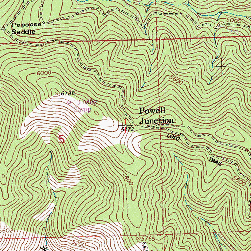 Topographic Map of Powell Junction, ID