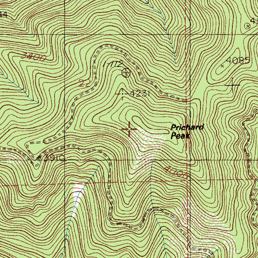Topographic Map of Prichard Peak, ID