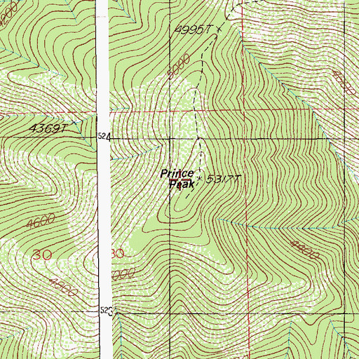 Topographic Map of Prince Peak, ID