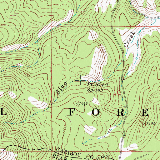 Topographic Map of Pritchert Spring, ID