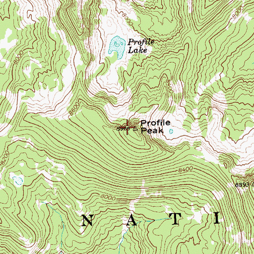 Topographic Map of Profile Peak, ID