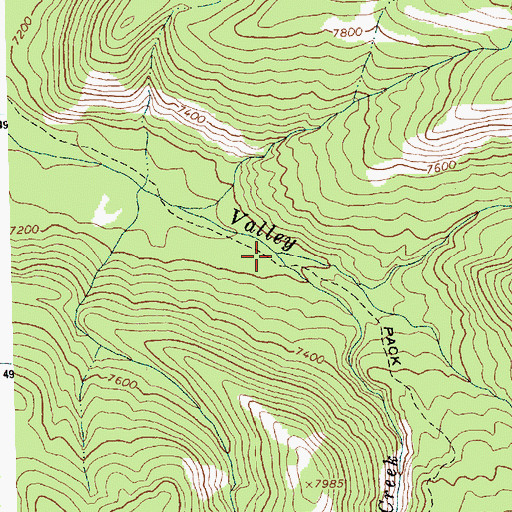 Topographic Map of Prospect Creek, ID