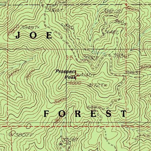 Topographic Map of Prospect Peak, ID