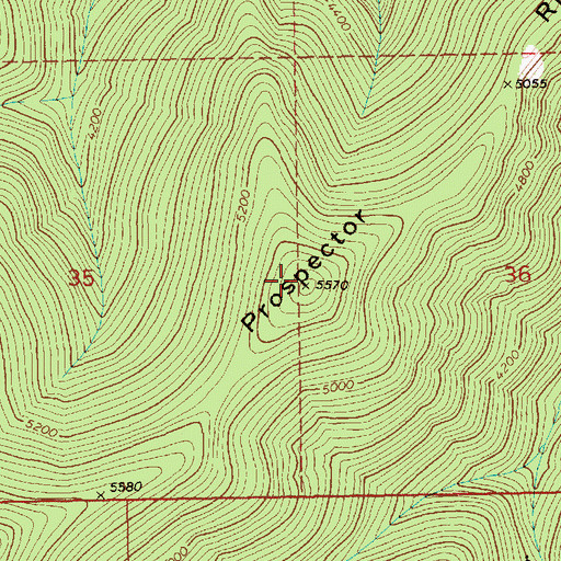 Topographic Map of Prospector Ridge, ID