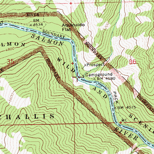 Topographic Map of Pungo Creek, ID