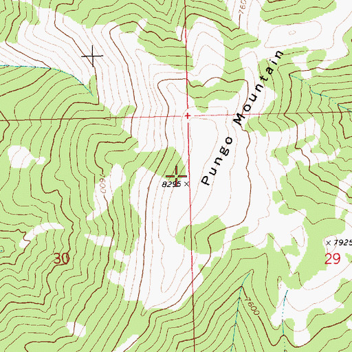 Topographic Map of Pungo Mountain, ID