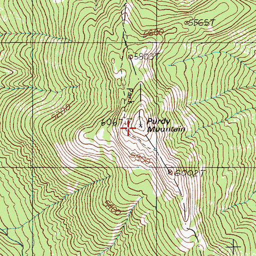 Topographic Map of Purdy Mountain, ID