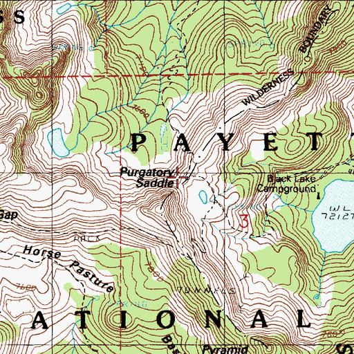 Topographic Map of Purgatory Saddle, ID