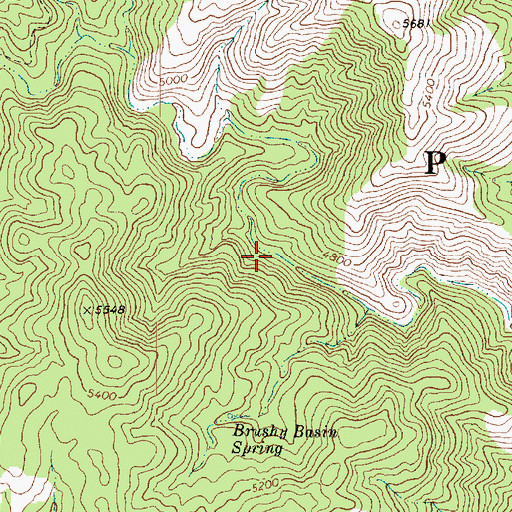 Topographic Map of Turkey Spring, AZ