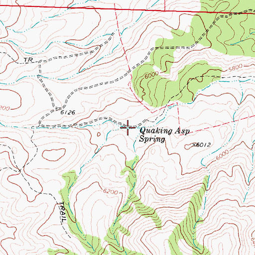 Topographic Map of Quaking Asp Spring, ID