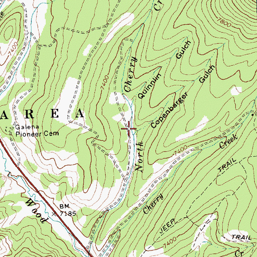 Topographic Map of Quinnlin Gulch, ID