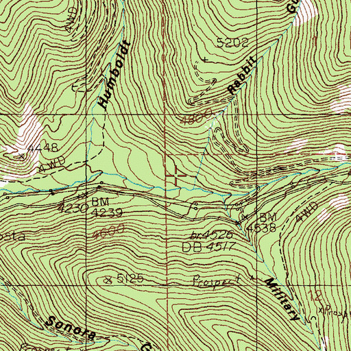 Topographic Map of Rabbit Gulch, ID