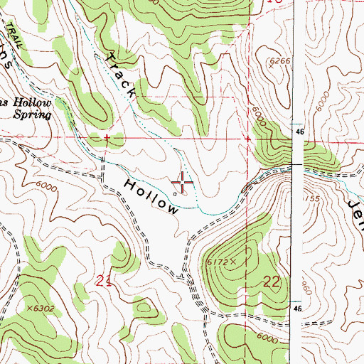 Topographic Map of Race Track, ID