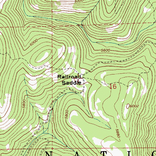 Topographic Map of Railroad Saddle, ID