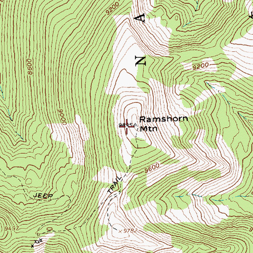 Topographic Map of Ramshorn Mountain, ID