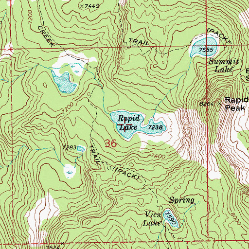 Topographic Map of Rapid Lake, ID