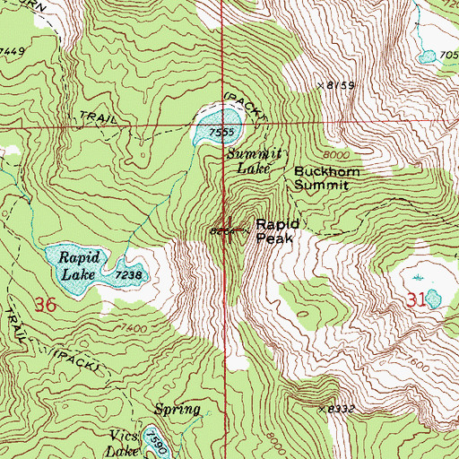 Topographic Map of Rapid Peak, ID