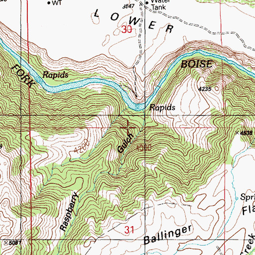 Topographic Map of Raspberry Gulch, ID