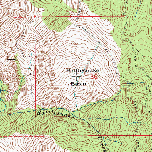 Topographic Map of Rattlesnake Basin, ID