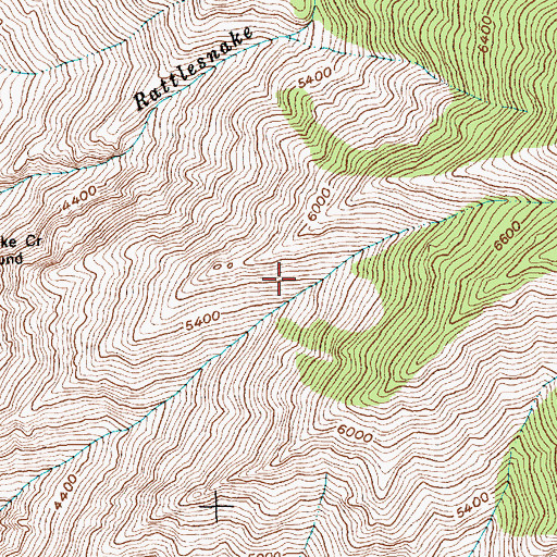 Topographic Map of Rattlesnake Creek, ID