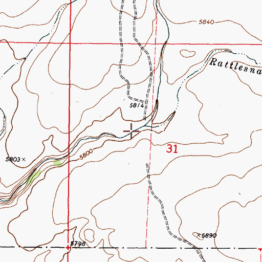 Topographic Map of Rattlesnake Creek, ID