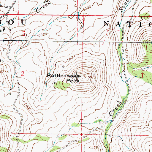 Topographic Map of Rattlesnake Peak, ID