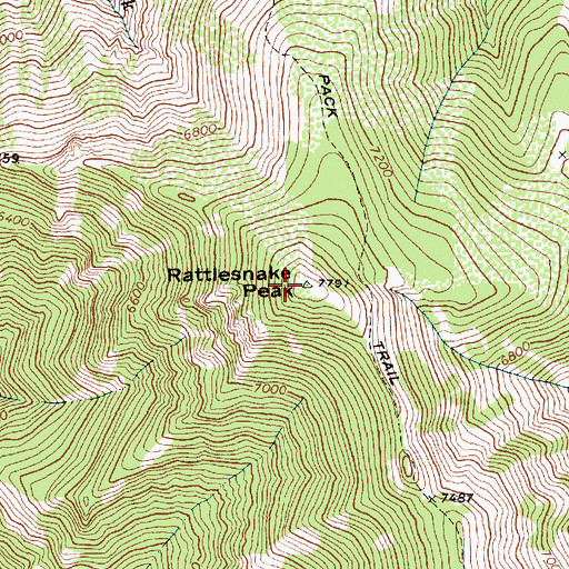 Topographic Map of Rattlesnake Peak, ID