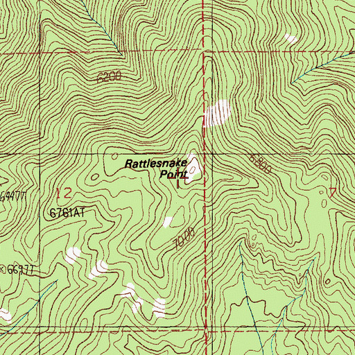 Topographic Map of Rattlesnake Point, ID