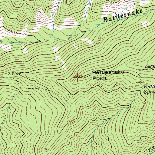 Topographic Map of Rattlesnake Point, ID