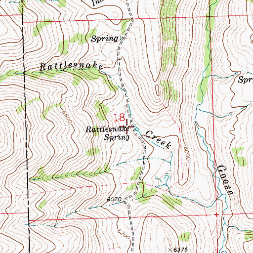 Topographic Map of Rattlesnake Spring, ID