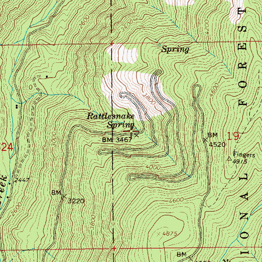 Topographic Map of Rattlesnake Spring, ID