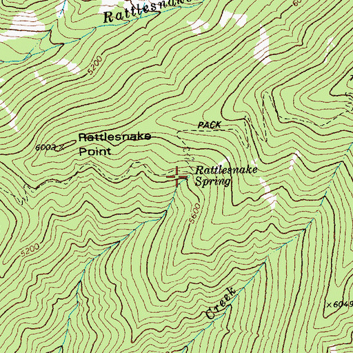 Topographic Map of Rattlesnake Spring, ID
