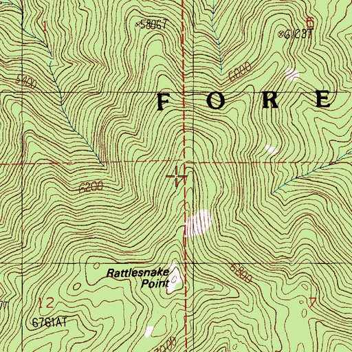 Topographic Map of Rattlesnake Trail, ID