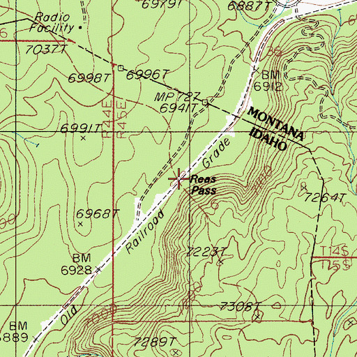 Topographic Map of Reas Pass, ID
