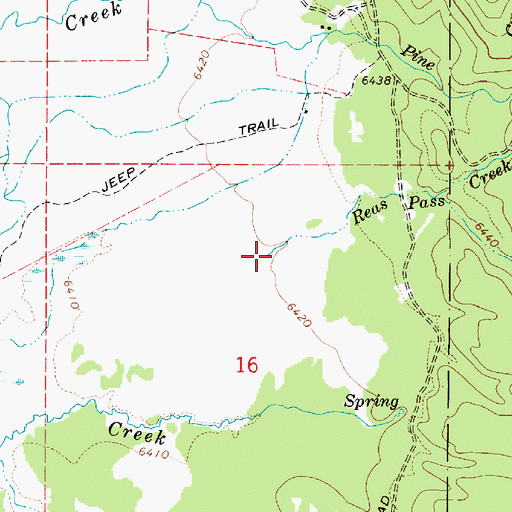 Topographic Map of Reas Pass Creek, ID