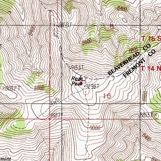 Topographic Map of Reas Peak, ID