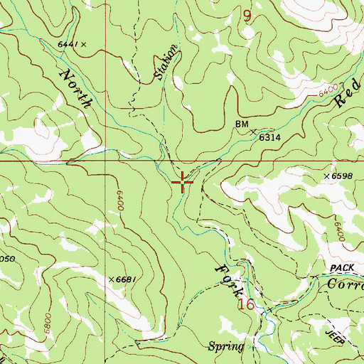 Topographic Map of Red Creek, ID