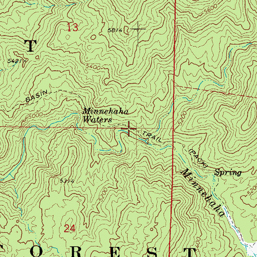 Topographic Map of Wagoner Trail Number Two Hundred Thirteen, AZ